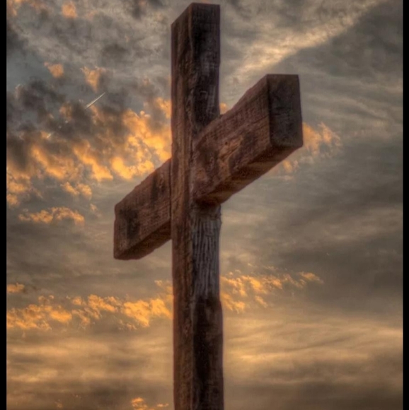 Meet your Posher, Abigail - Picture 2 of 2